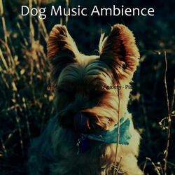 Smart Separation Anxiety