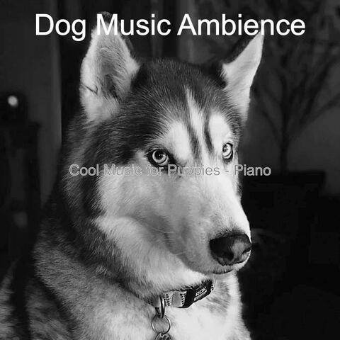 Cool Music for Puppies - Piano