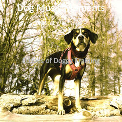 Background for Resting Dogs