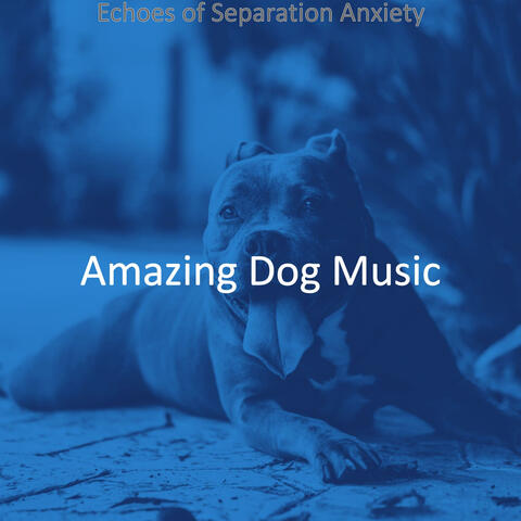 Echoes of Separation Anxiety