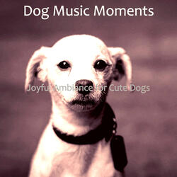 Number One Moods for Doggy Training