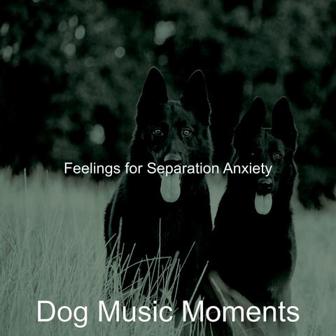 Feelings for Separation Anxiety