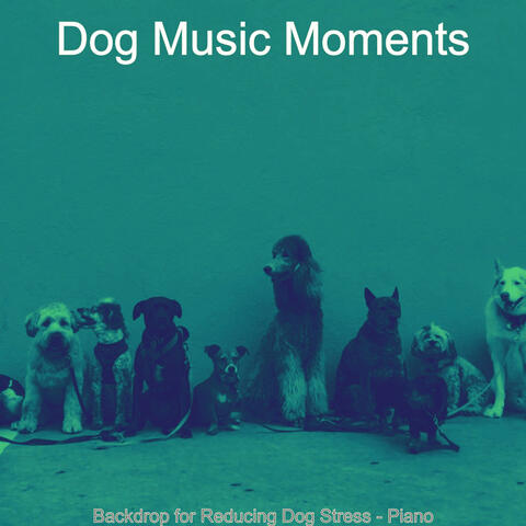 Backdrop for Reducing Dog Stress - Piano