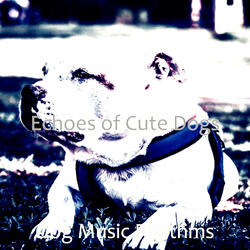 Number One Solo Piano Jazz - Vibe for Resting Dogs
