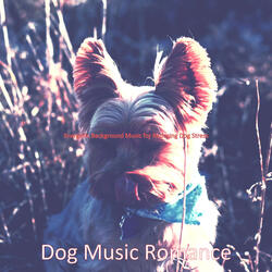 Background for Cute Dogs