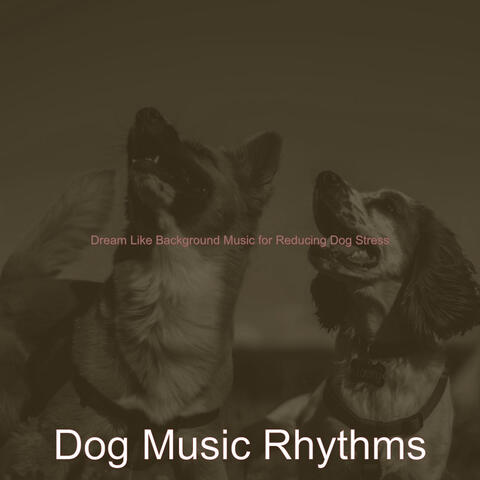 Dream Like Background Music for Reducing Dog Stress