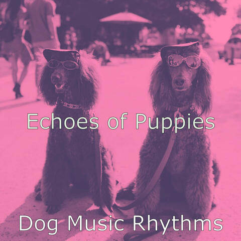 Echoes of Puppies