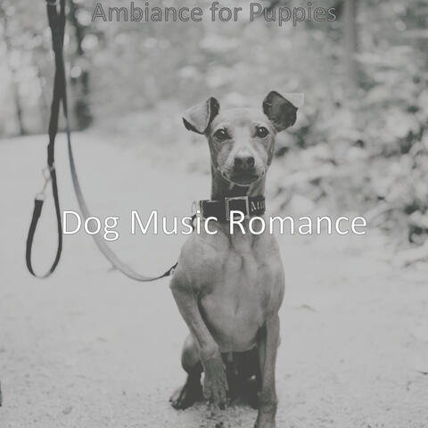 Ambiance for Puppies