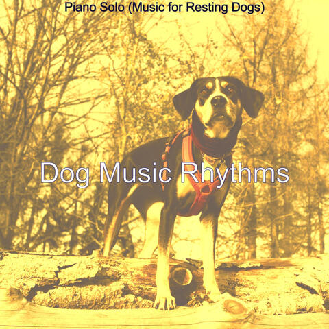 Piano Solo (Music for Resting Dogs)