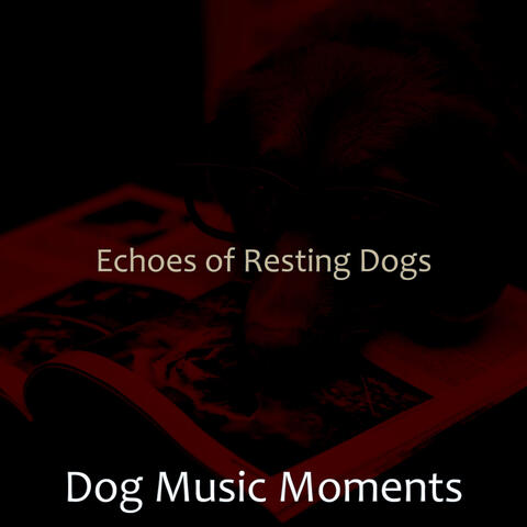 Echoes of Resting Dogs