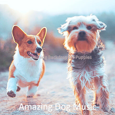 Astonishing Backdrop for Puppies