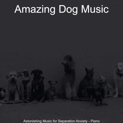 Astonishing Music for Separation Anxiety - Piano