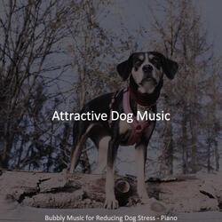 Modish Ambiance for Doggy Training