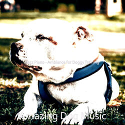 Simple Ambiance for Reducing Dog Stress