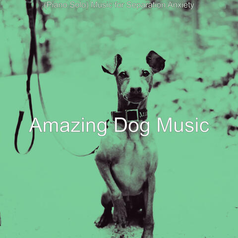 (Piano Solo) Music for Separation Anxiety