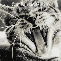 Background for Kittens