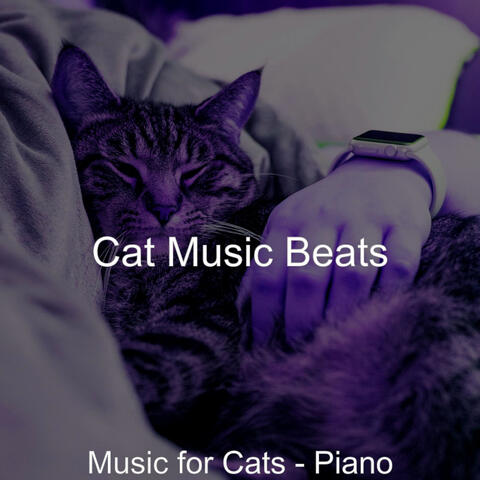 Music for Cats - Piano