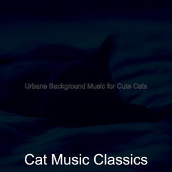 Background for Relaxing Your Cat