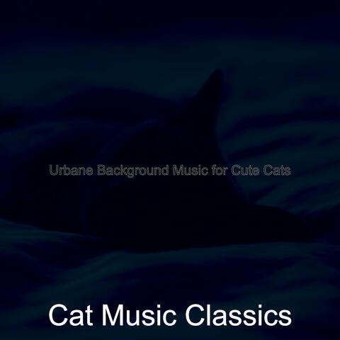 Urbane Background Music for Cute Cats