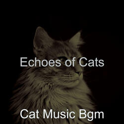 Piano Jazz Soundtrack for Resting Cats