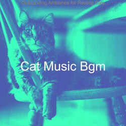 Divine Moods for Resting Cats