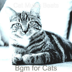 Mellow Moods for Cats
