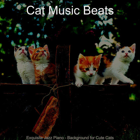 Exquisite Jazz Piano - Background for Cute Cats