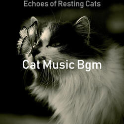 Vibrant Solo Piano Jazz - Vibe for Cats