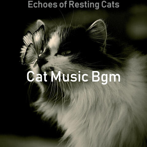 Echoes of Resting Cats