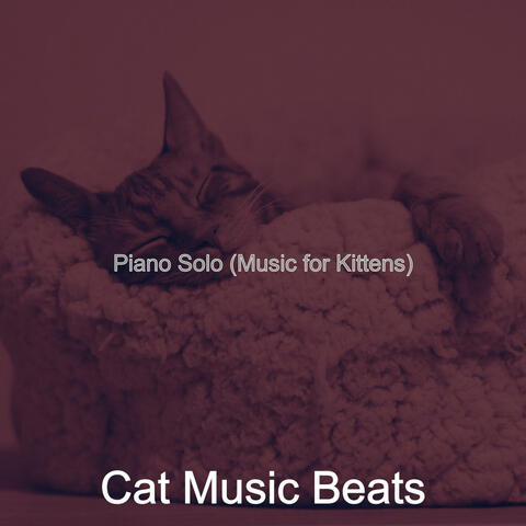 Piano Solo (Music for Kittens)