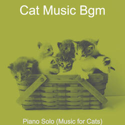 Number One Backdrops for Relaxing Your Cat