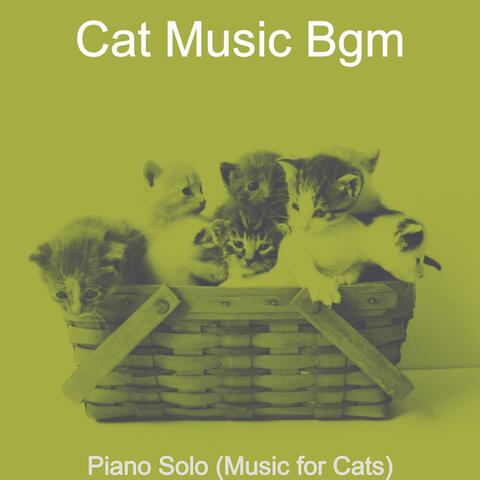 Piano Solo (Music for Cats)