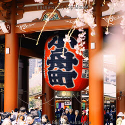 Breathtaking City Pop - Vibe for Retro Vibes