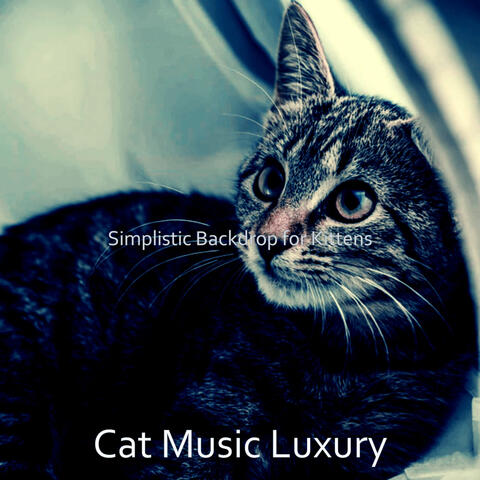 Simplistic Backdrop for Kittens
