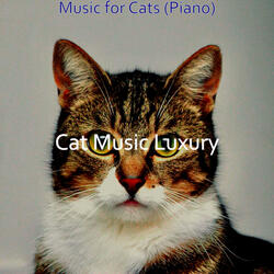 Playful Solo Piano Jazz - Vibe for Resting Cats