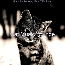Vivacious Solo Piano Jazz - Vibe for Relaxing Your Cat
