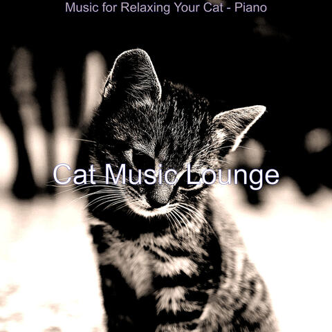 Music for Relaxing Your Cat - Piano