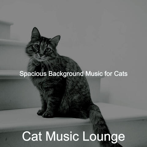 Spacious Background Music for Cats