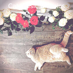 Outstanding Backdrops for Kittens