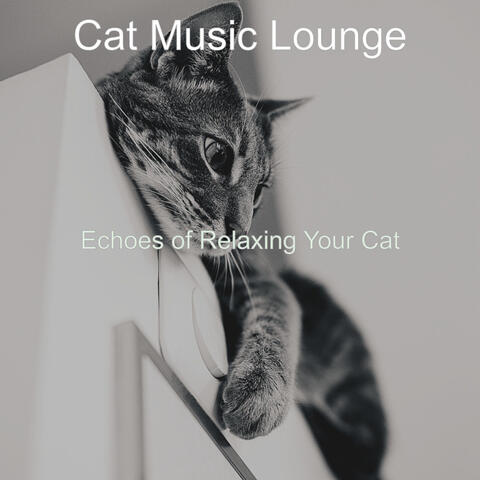 Echoes of Relaxing Your Cat