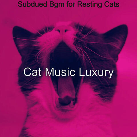 Subdued Bgm for Resting Cats