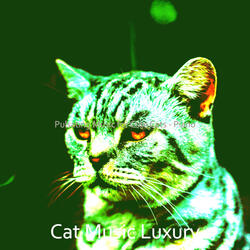 Simplistic Moods for Resting Cats