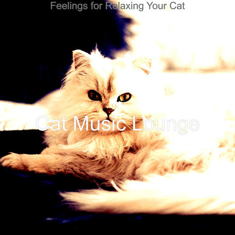 Feelings for Relaxing Your Cat