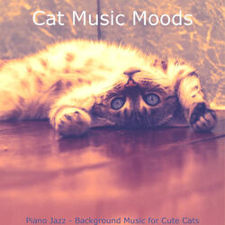 Happy Backdrops for Relaxing Your Cat