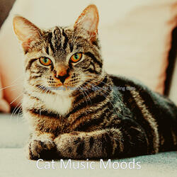 Grand Music for Cute Cats