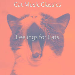 Outstanding Ambience for Resting Cats