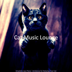 Dashing Solo Piano Jazz - Vibe for Resting Cats