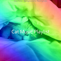 Relaxing Ambiance for Cats