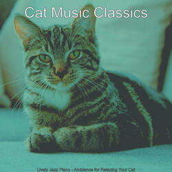 Superlative Moods for Relaxing Your Cat