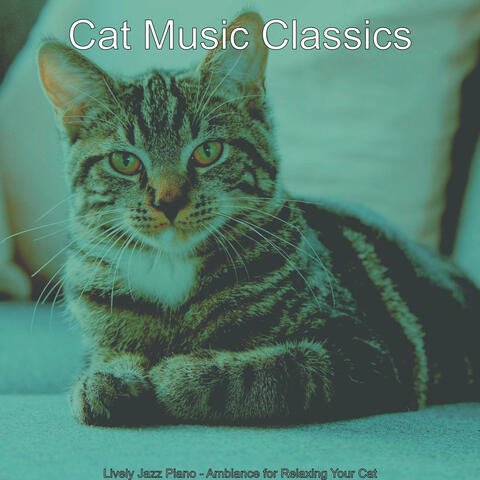 Lively Jazz Piano - Ambiance for Relaxing Your Cat